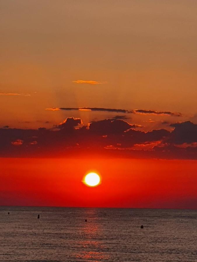 Gemuetliche Ferienwohnung In Torrevieja Ca100M Vom Strand Playa Del Cura Entfernt Zewnętrze zdjęcie